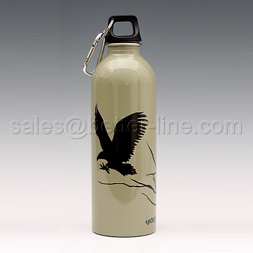 Sports Bottle