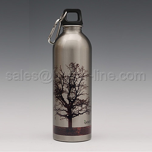 Sports Bottle