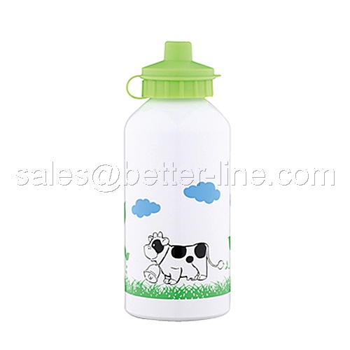 Sports Bottle