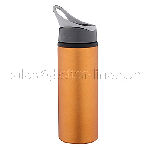 Sports Bottle