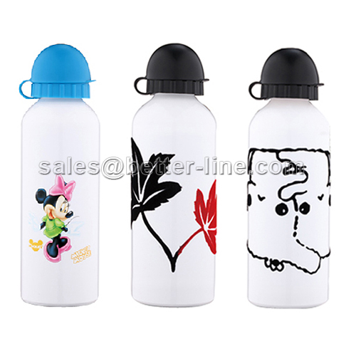 Sports Bottle